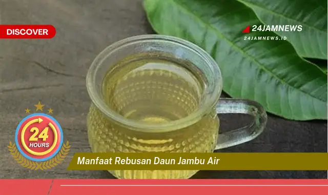 Temukan Manfaat Rebusan Daun Jambu Air untuk Kesehatan Anda Temukan Manfaat Rebusan Daun Jambu Air untuk Kesehatan Anda