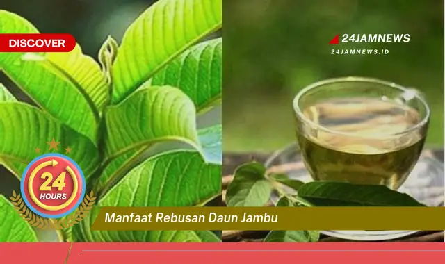Temukan Manfaat Rebusan Daun Jambu Biji untuk Kesehatan Anda Temukan Manfaat Rebusan Daun Jambu Biji untuk Kesehatan Anda