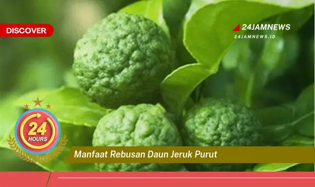 Temukan Manfaat Rebusan Daun Jeruk Purut untuk Kesehatan Tubuh Anda Temukan Manfaat Rebusan Daun Jeruk Purut untuk Kesehatan Tubuh Anda