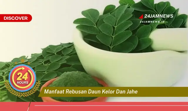 Temukan Manfaat Rebusan Daun Kelor dan Jahe untuk Kesehatan Tubuh Anda Temukan Manfaat Rebusan Daun Kelor dan Jahe untuk Kesehatan Tubuh Anda