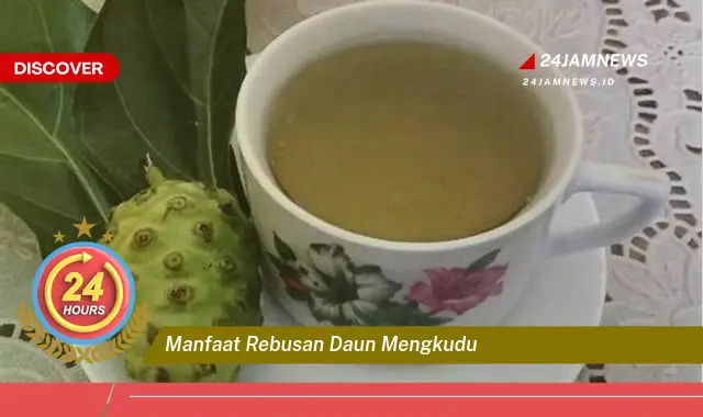 Temukan Manfaat Rebusan Daun Mengkudu untuk Kesehatan Tubuh Anda Temukan Manfaat Rebusan Daun Mengkudu untuk Kesehatan Tubuh Anda
