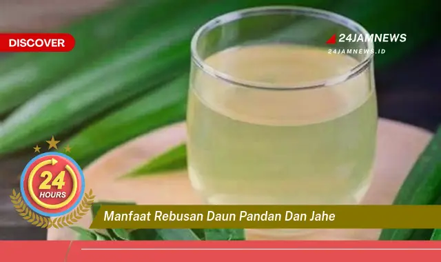Temukan Manfaat Rebusan Daun Pandan dan Jahe untuk Kesehatan Tubuh Anda Temukan Manfaat Rebusan Daun Pandan dan Jahe untuk Kesehatan Tubuh Anda