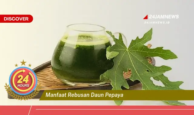 Temukan Manfaat Rebusan Daun Pepaya untuk Kesehatan Anda Temukan Manfaat Rebusan Daun Pepaya untuk Kesehatan Anda