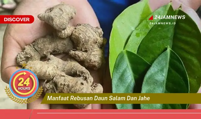 Temukan Manfaat Rebusan Daun Salam dan Jahe untuk Kesehatan Tubuh Anda Temukan Manfaat Rebusan Daun Salam dan Jahe untuk Kesehatan Tubuh Anda