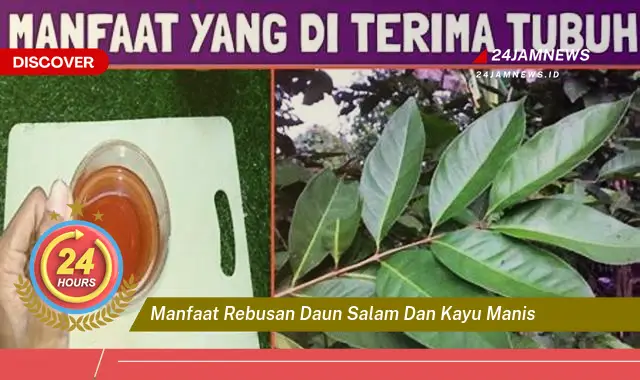 Temukan Manfaat Rebusan Daun Salam dan Kayu Manis untuk Kesehatan Anda Temukan Manfaat Rebusan Daun Salam dan Kayu Manis untuk Kesehatan Anda
