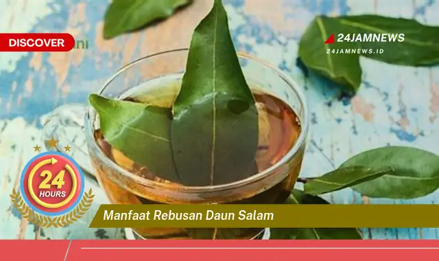 Temukan Manfaat Rebusan Daun Salam untuk Kesehatan Tubuh Anda Temukan Manfaat Rebusan Daun Salam untuk Kesehatan Tubuh Anda