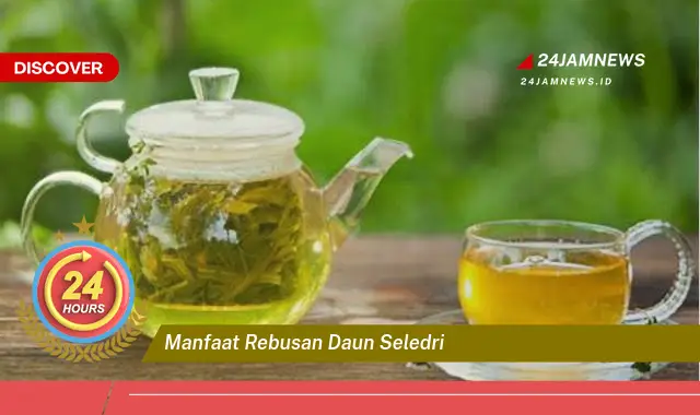 Temukan Manfaat Rebusan Daun Seledri untuk Kesehatan Tubuh Anda Temukan Manfaat Rebusan Daun Seledri untuk Kesehatan Tubuh Anda