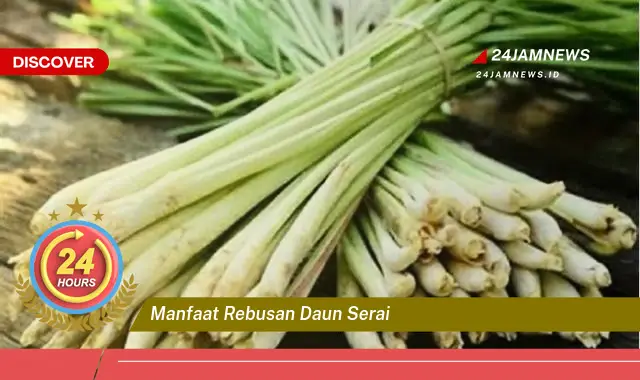 Temukan Manfaat Rebusan Daun Serai untuk Kesehatan Tubuh Anda Temukan Manfaat Rebusan Daun Serai untuk Kesehatan Tubuh Anda