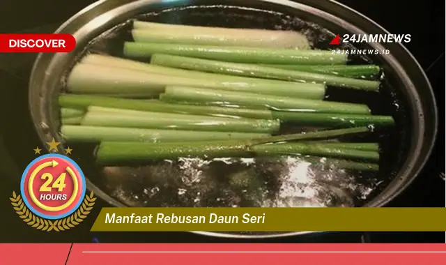 Temukan Manfaat Rebusan Daun Seri untuk Kesehatan Tubuh Anda Temukan Manfaat Rebusan Daun Seri untuk Kesehatan Tubuh Anda