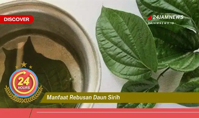 Temukan Manfaat Rebusan Daun Sirih untuk Kesehatan Tubuh Anda Temukan Manfaat Rebusan Daun Sirih untuk Kesehatan Tubuh Anda