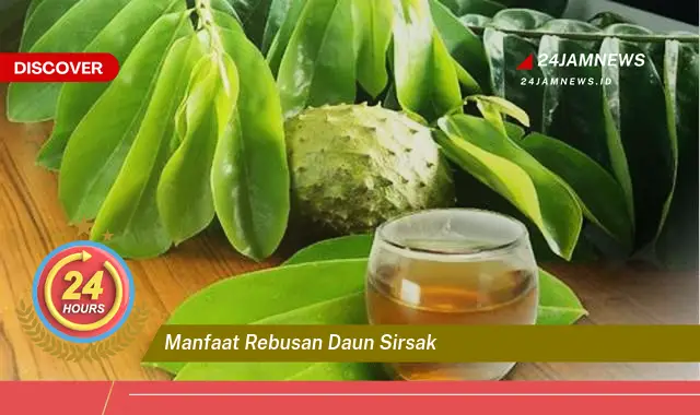 Temukan Manfaat Rebusan Daun Sirsak untuk Kesehatan Anda | Meningkatkan Imunitas & Lainnya Temukan Manfaat Rebusan Daun Sirsak untuk Kesehatan Anda | Meningkatkan Imunitas & Lainnya