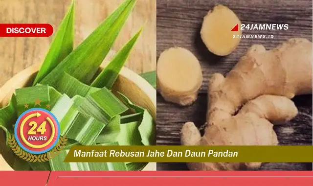 Temukan Manfaat Rebusan Jahe dan Daun Pandan untuk Kesehatan Tubuh Anda Temukan Manfaat Rebusan Jahe dan Daun Pandan untuk Kesehatan Tubuh Anda