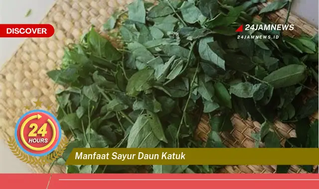 Temukan Manfaat Sayur Daun Katuk untuk Ibu Menyusui dan Kesehatan Bayi Temukan Manfaat Sayur Daun Katuk untuk Ibu Menyusui dan Kesehatan Bayi