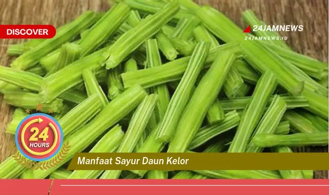 Temukan Manfaat Sayur Daun Kelor untuk Kesehatan Tubuh Anda Temukan Manfaat Sayur Daun Kelor untuk Kesehatan Tubuh Anda
